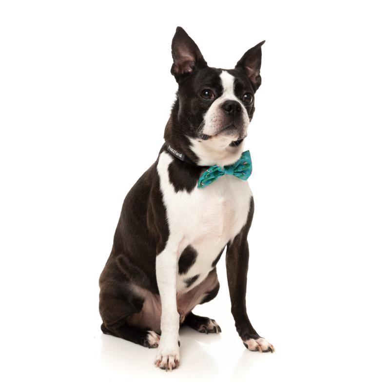 Tree Rex Pet Bowties