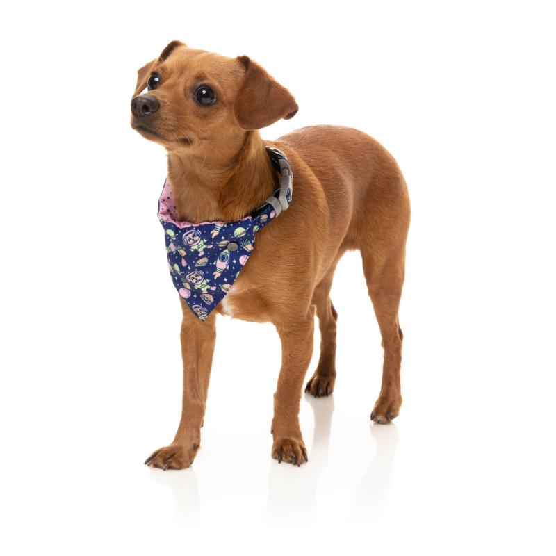 Pluto Pup Pet Bandana