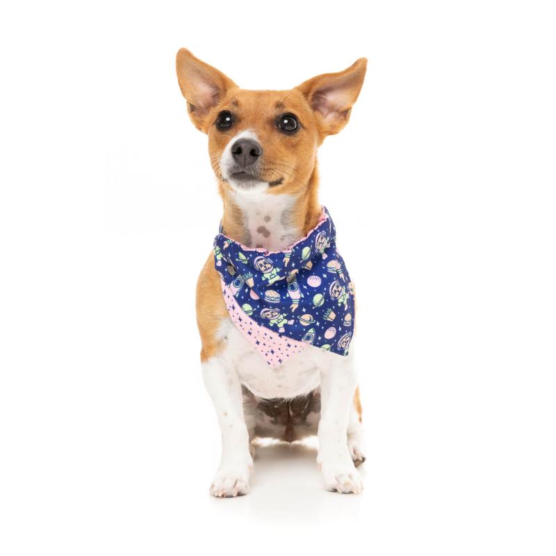Pluto Pup Pet Bandana