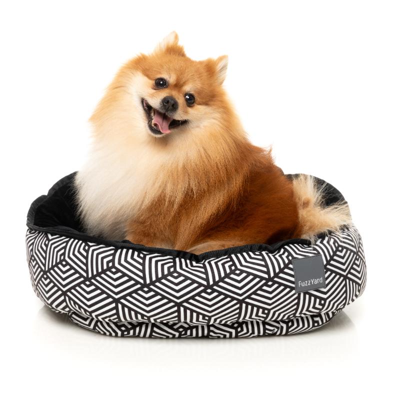 Fitzroy FuzzYard Reversible Bed