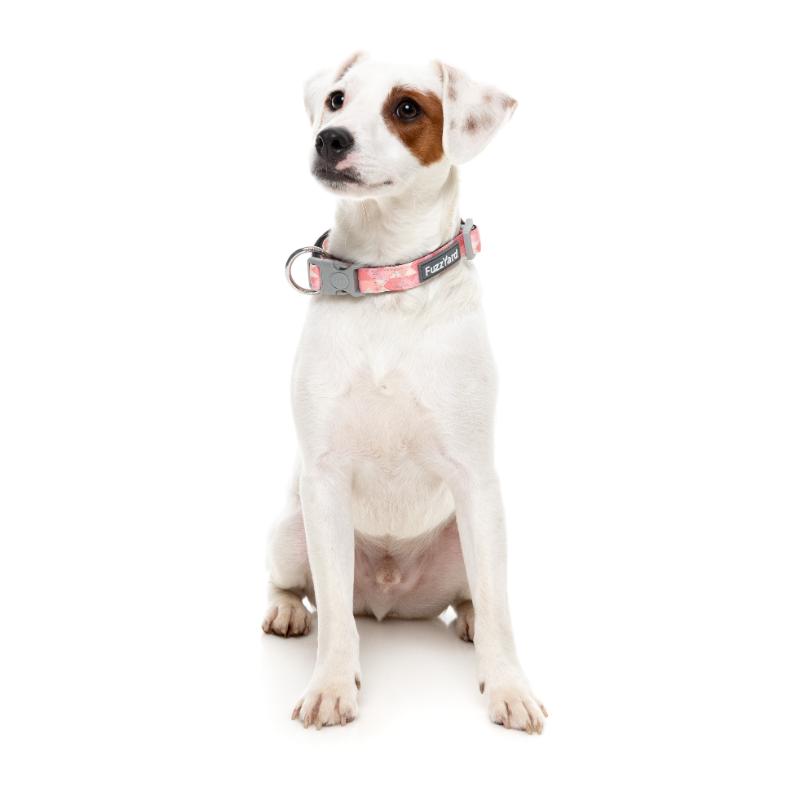 Pink Lemonade Dog Collar