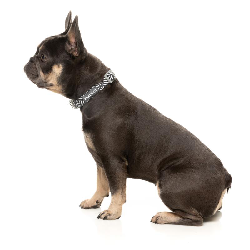 Fitzroy Blue Dog Collar