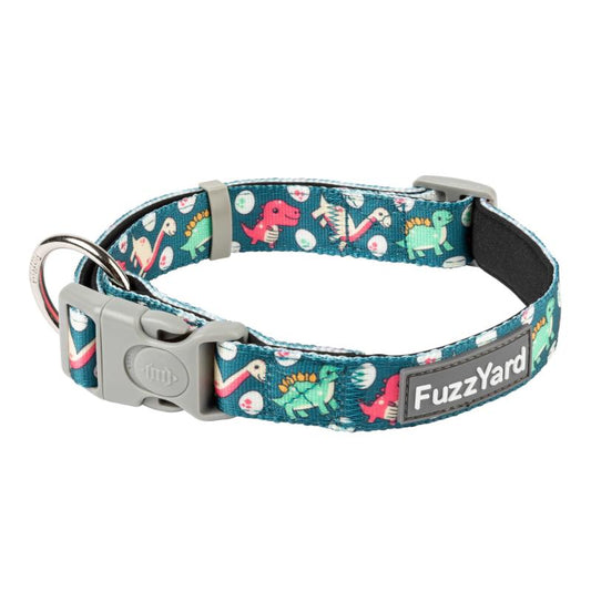 Dinosaur Land Dog Collar
