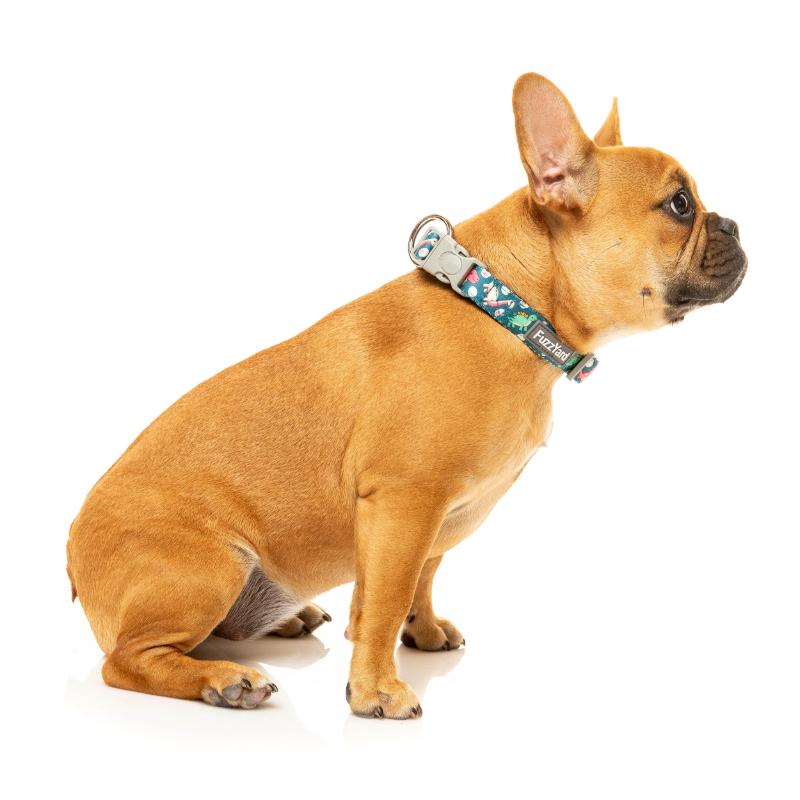 Dinosaur Land Dog Collar