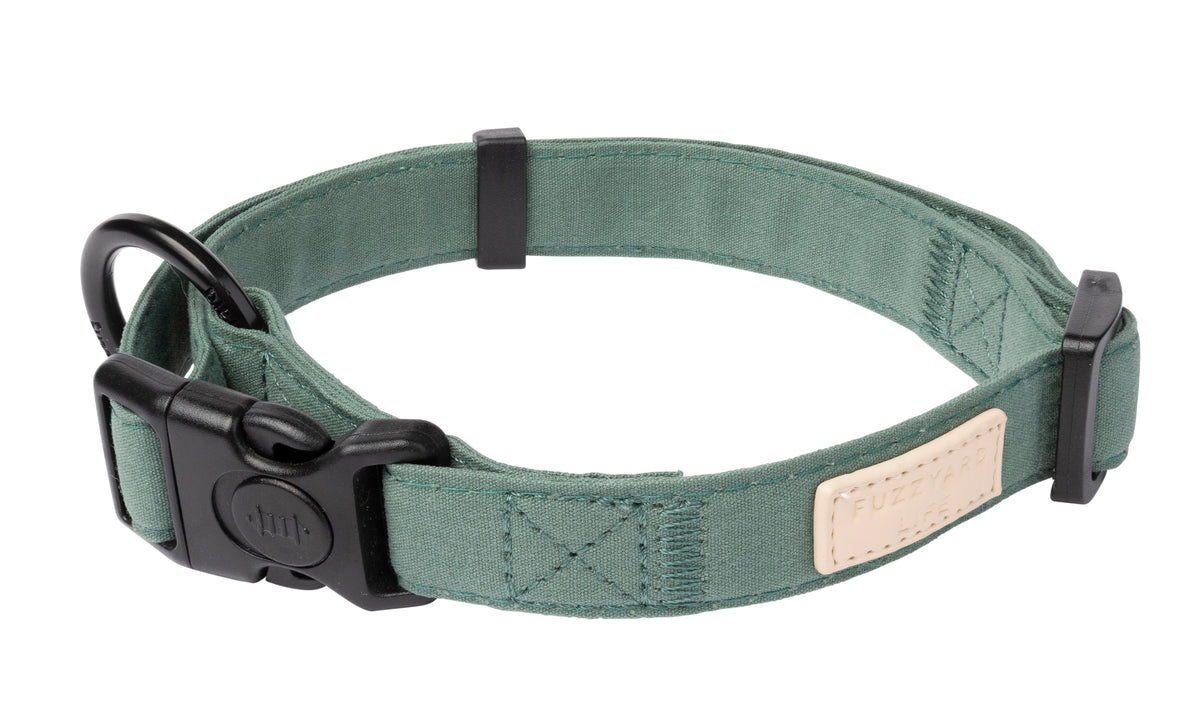 Collier pour chien FuzzYard Life 