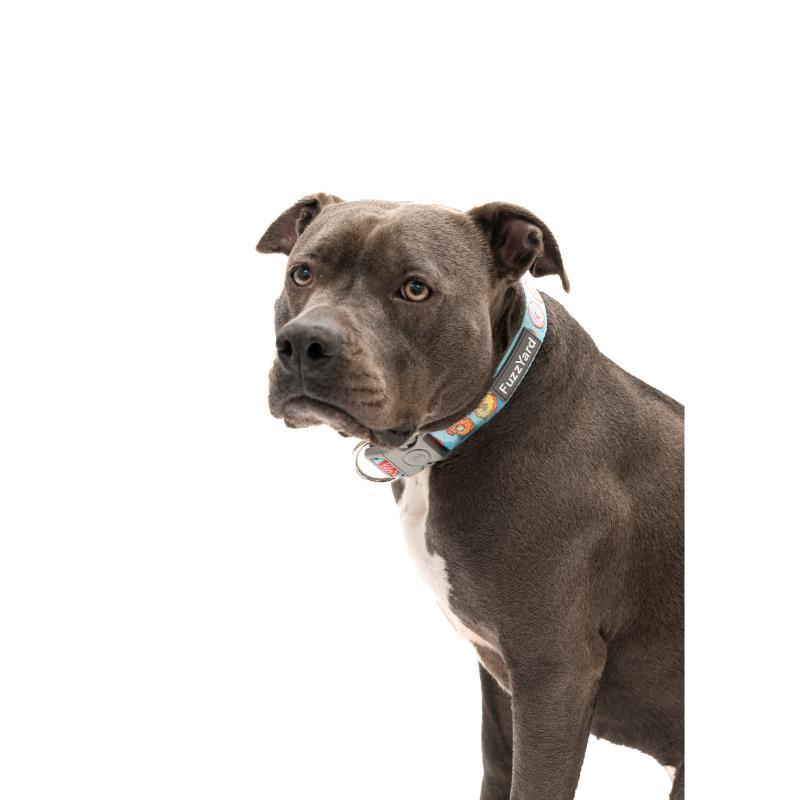 You Drive Me Glazy Dog Collar