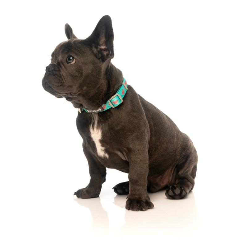 Collier pour chien - Modèle ver.1 