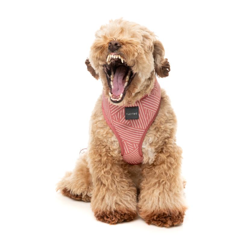 Thornbury - Brick Red Harness