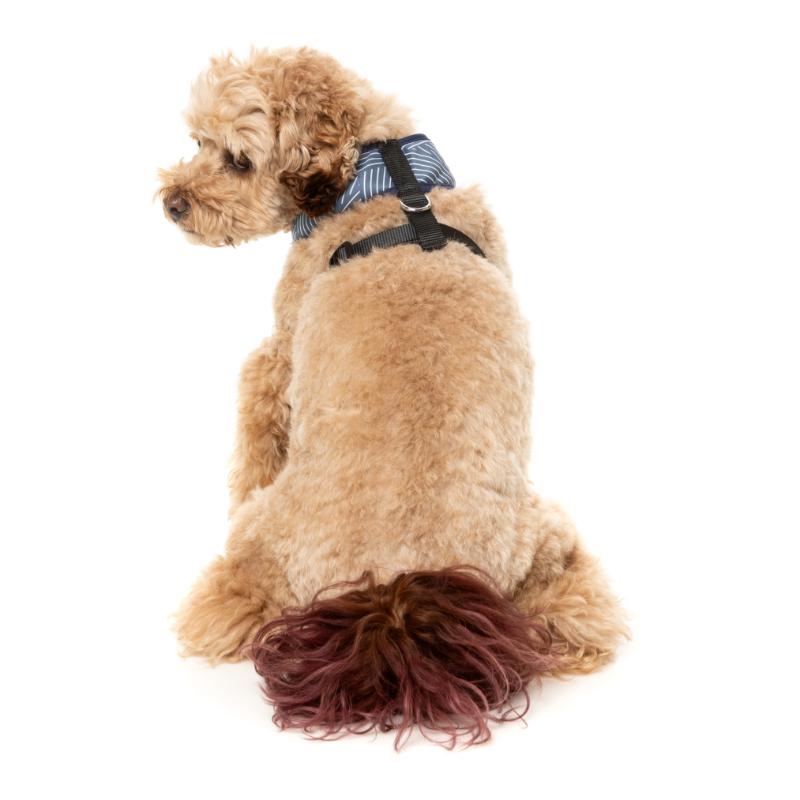 Thornbury - Aegean Blue Harness