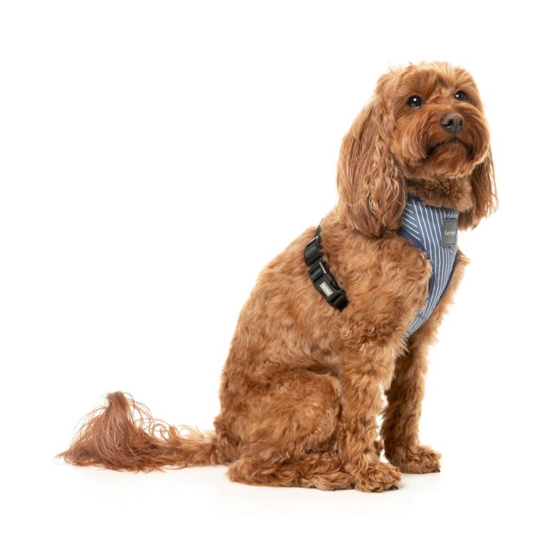 Thornbury - Aegean Blue Harness