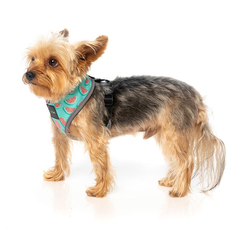 Summer Punch Harness