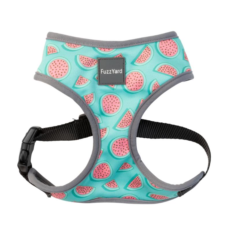 Summer Punch Harness