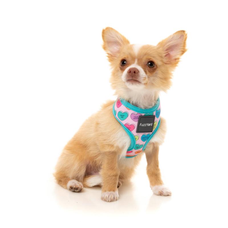 Harnais - Patron ver.1