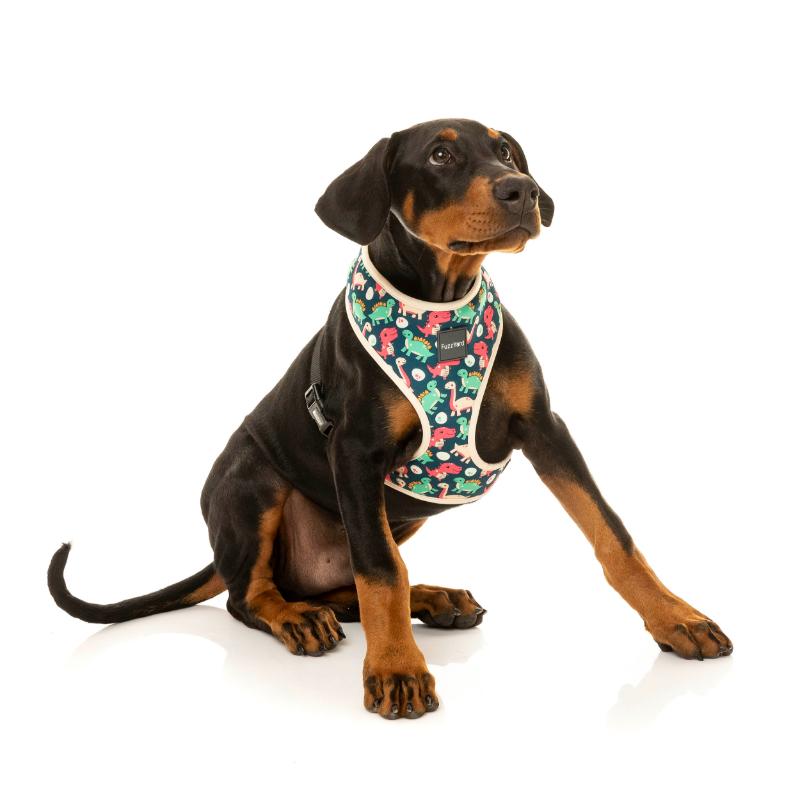 Harnais - Patron ver.1