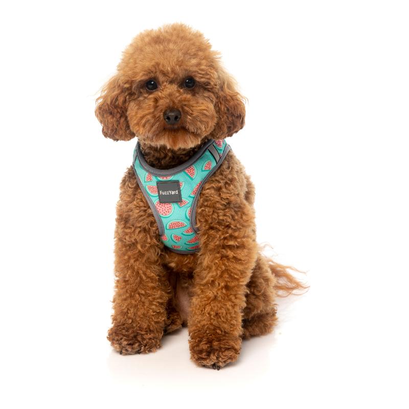 Summer Punch Step In Harness