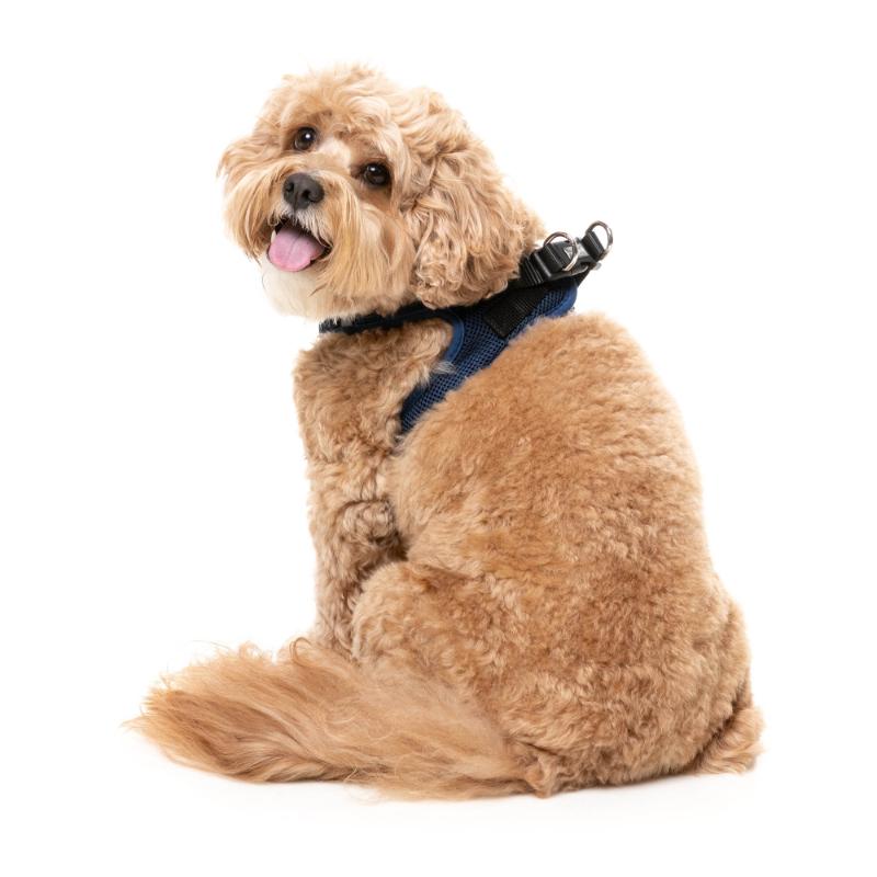 Marine Dog Step In Harness