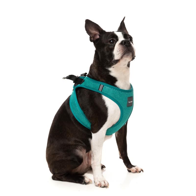 Lagoon Dog Step In Harness