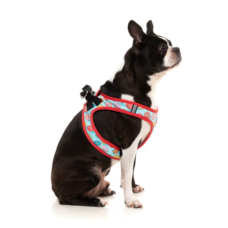 You Drive Me Glazy Dog Step In Harness