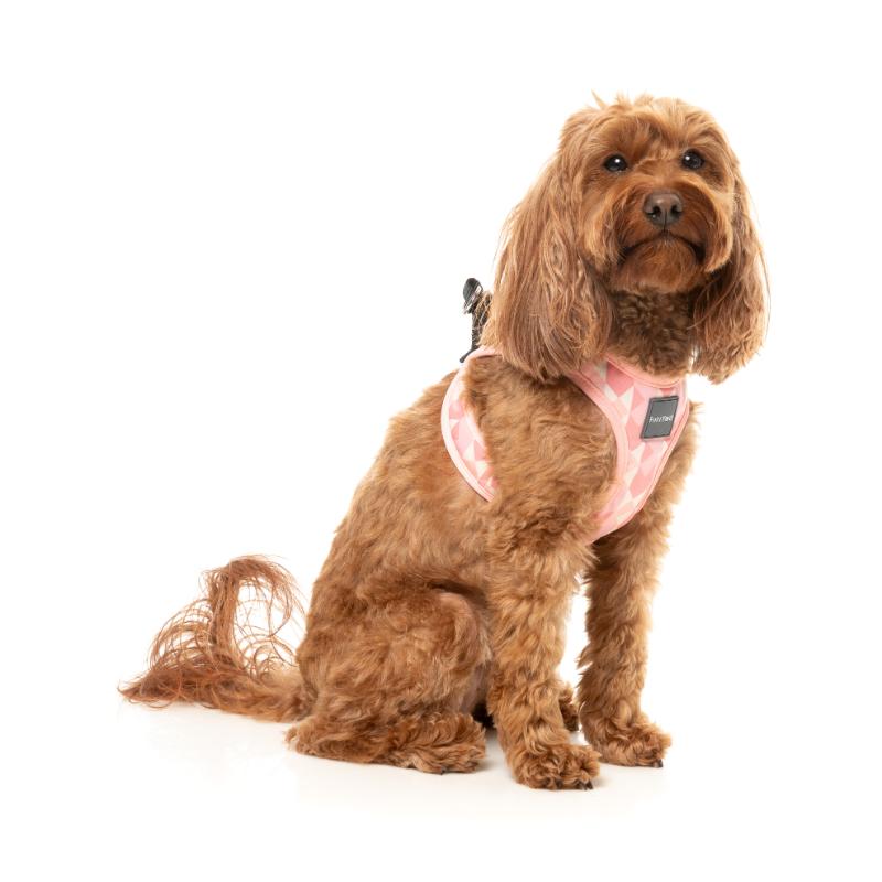 Pink Lemonade Dog Step In Harness