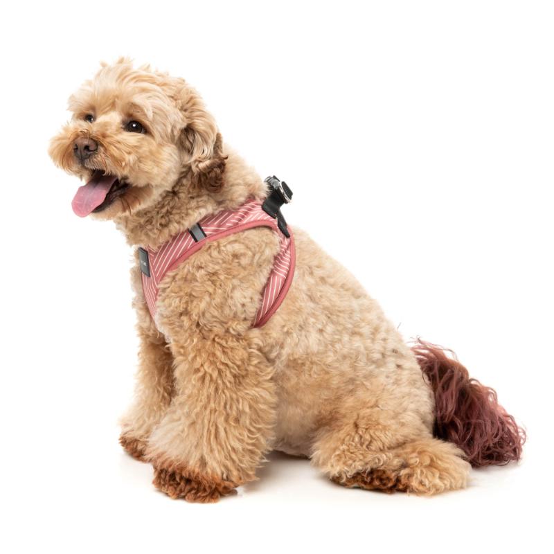 Thornbury - Brick Red Dog Step In Harness