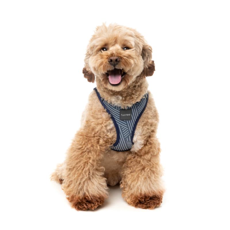 Thornbury - Aegean Blue Dog Step In Harness