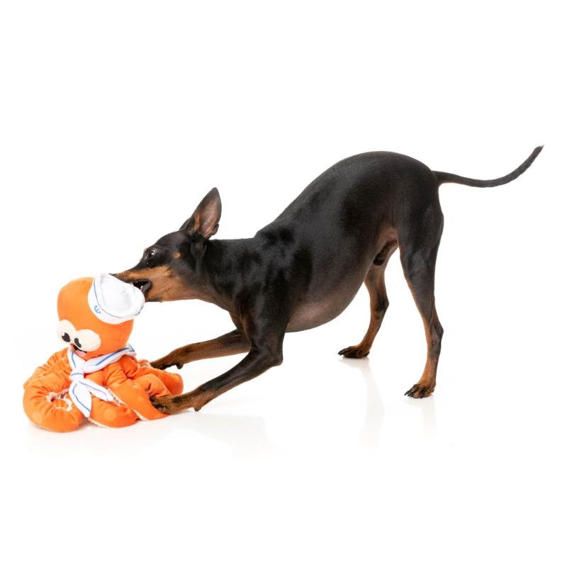 Dog Toy - Octo-Posse Toys