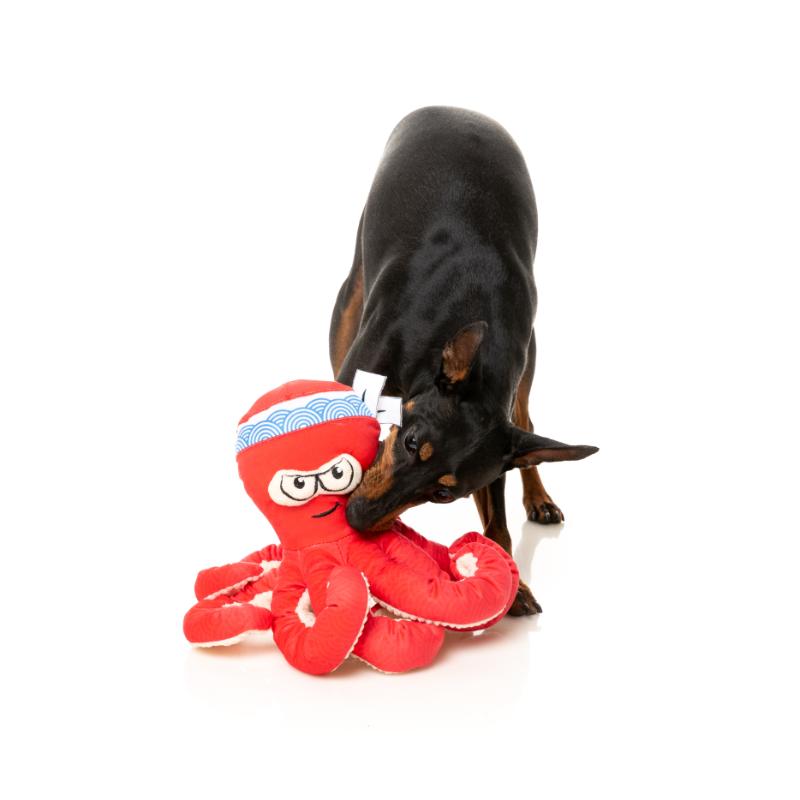 Dog Toy - Octo-Posse Toys