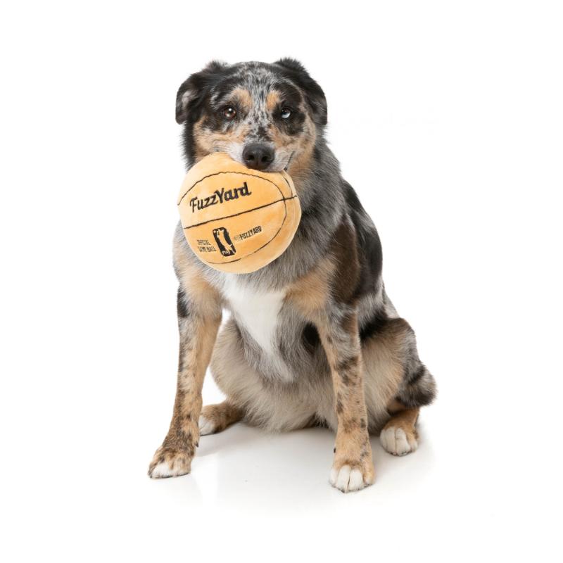 Dog Toy - Basketball