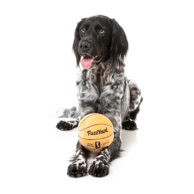 Dog Toy - Basketball