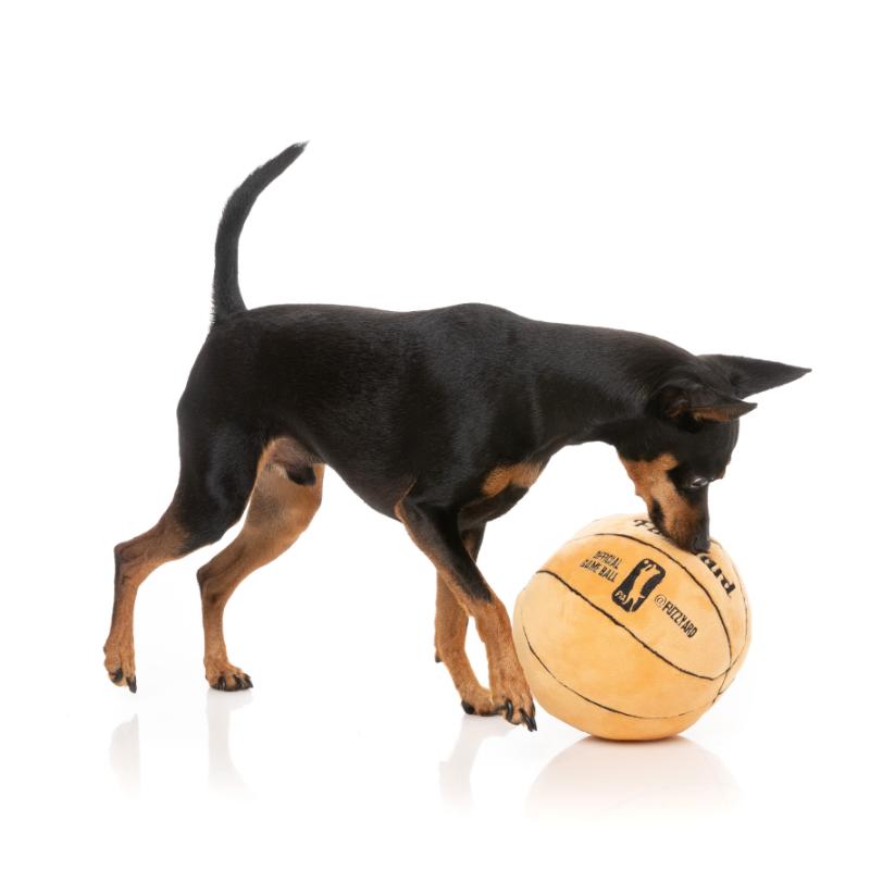 Dog Toy - Basketball