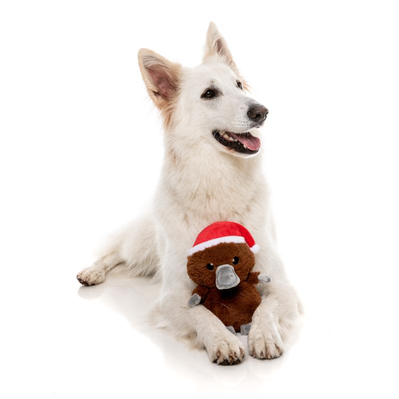 Dog Toy - Christmas