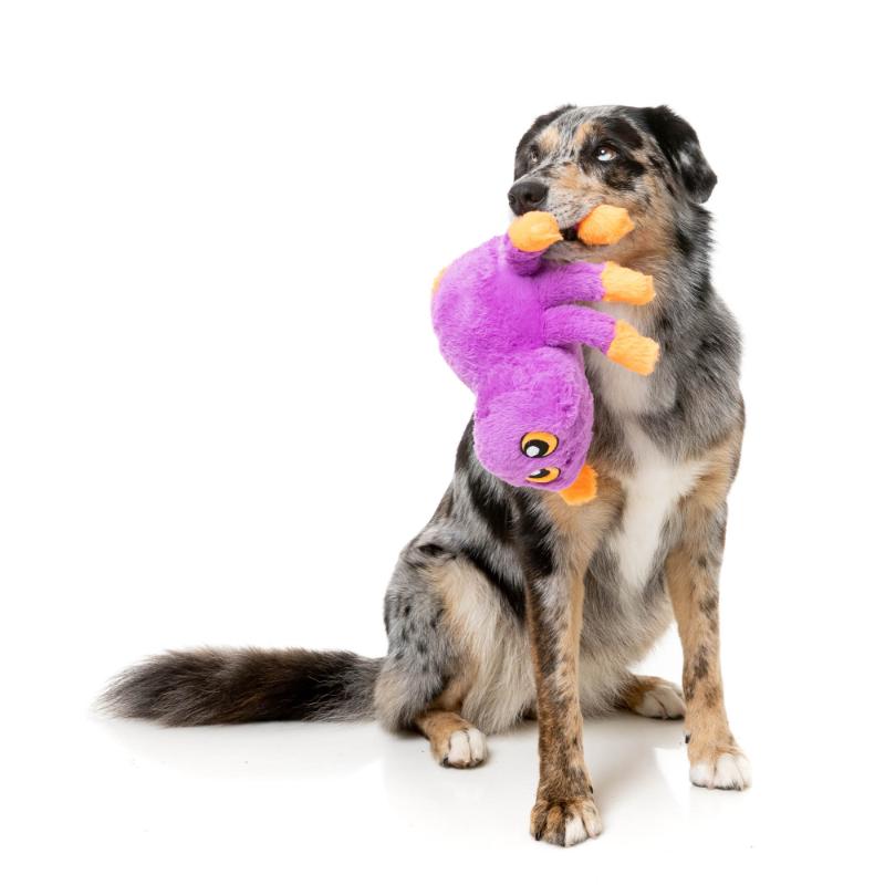 Dog Toy - Halloween