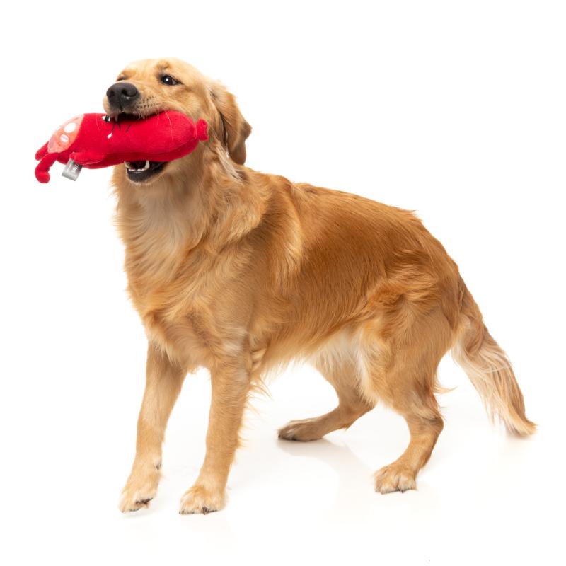 Dog Toy - Meat Heads