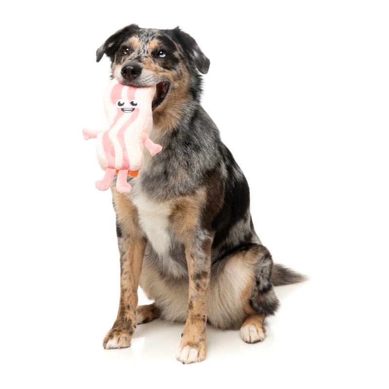 Dog Toy - Meat Heads