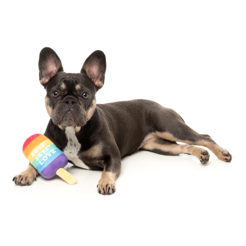 Dog Toy - Valentines Day