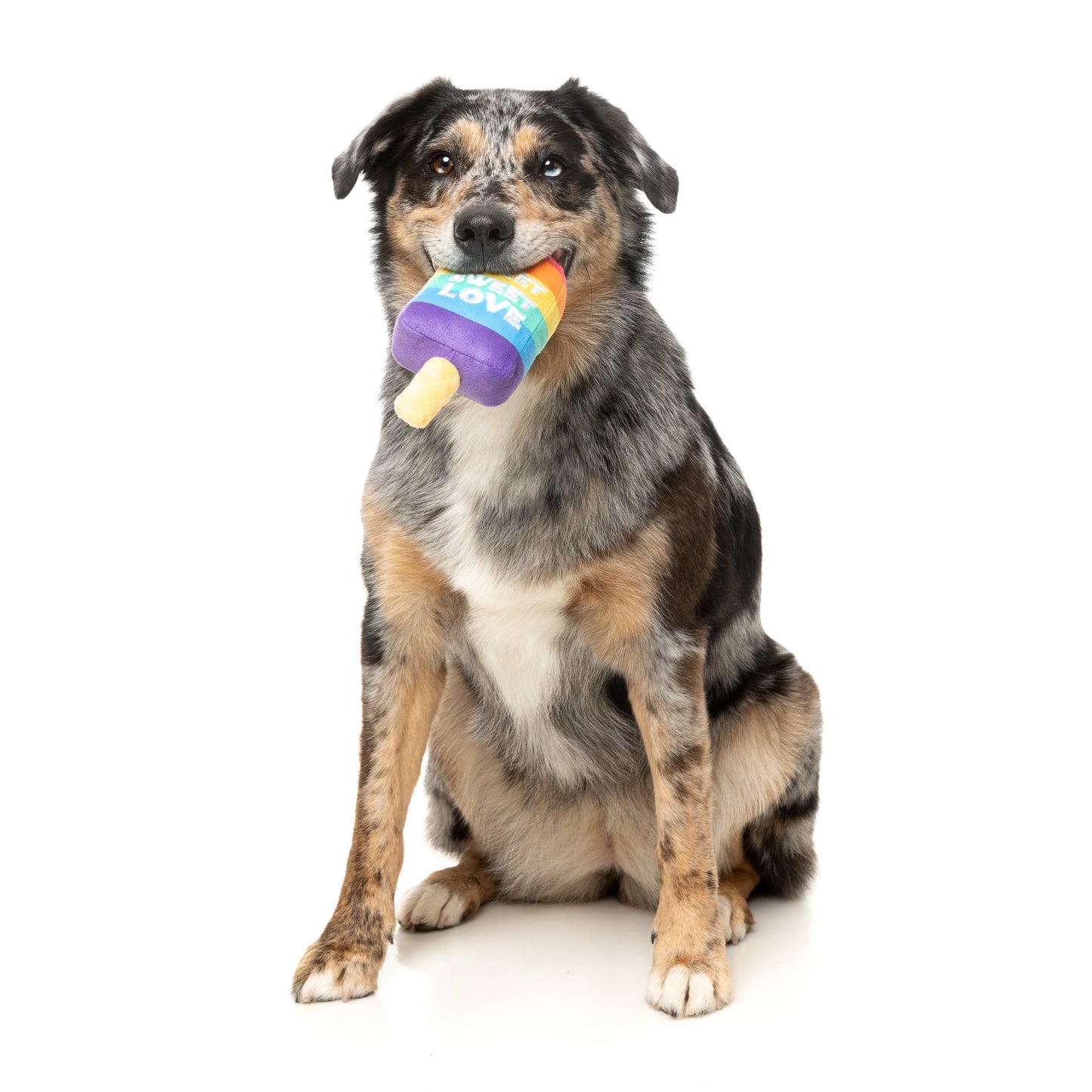 Dog Toy - Valentines Day