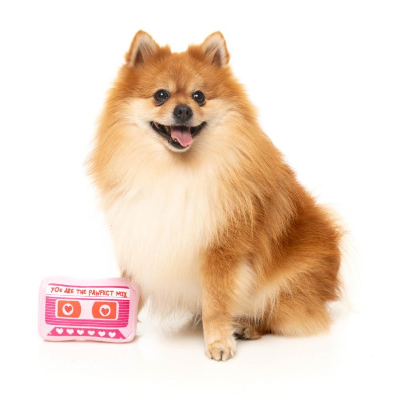 Dog Toy - Valentines Day