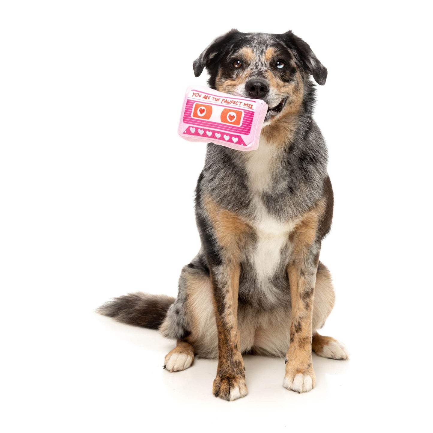 Dog Toy - Valentines Day