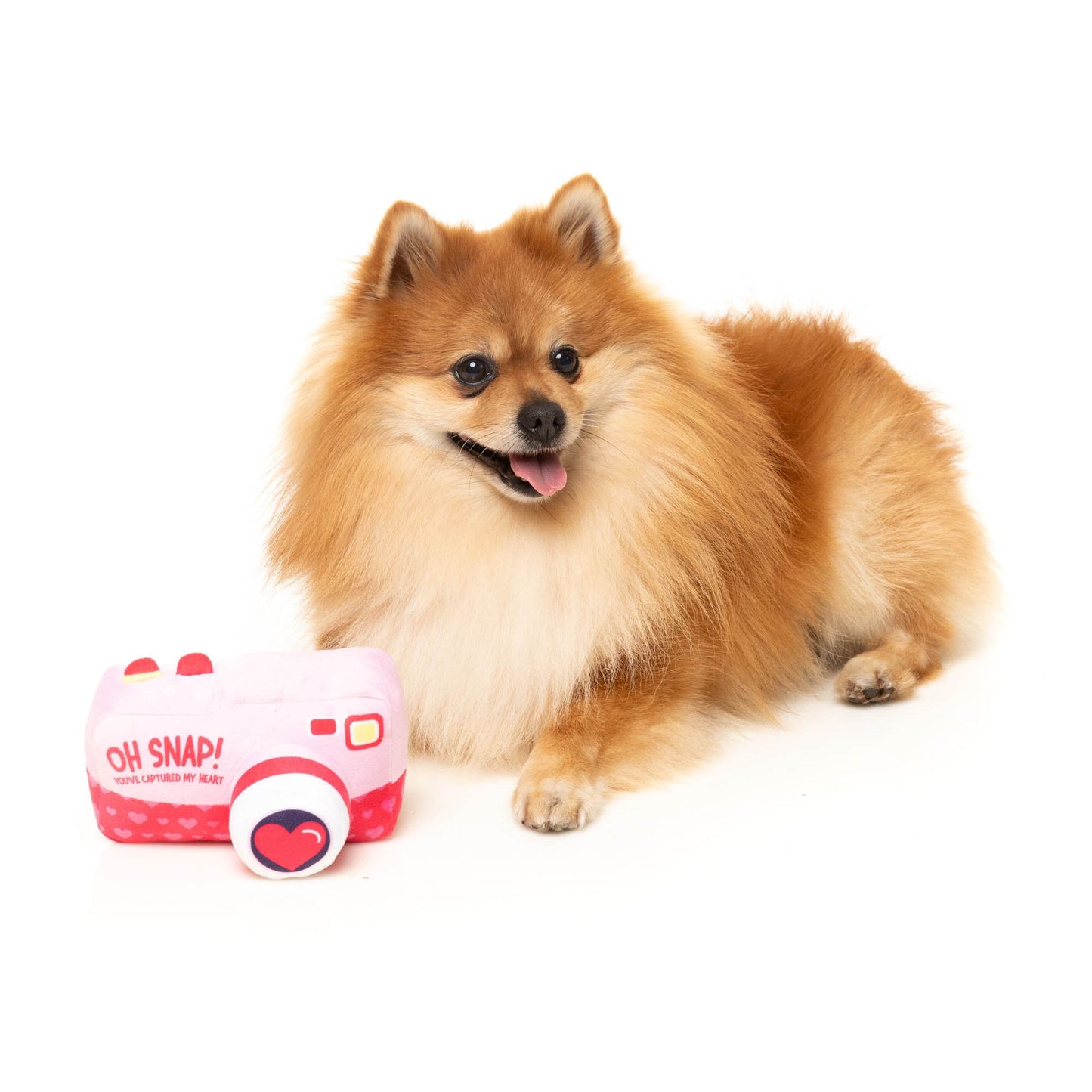 Dog Toy - Valentines Day