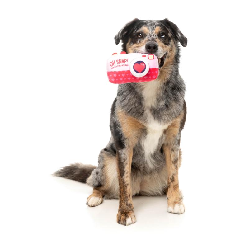 Dog Toy - Valentines Day