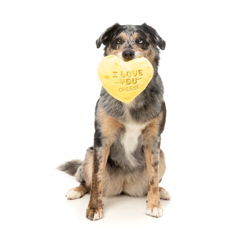 Dog Toy - Valentines Day