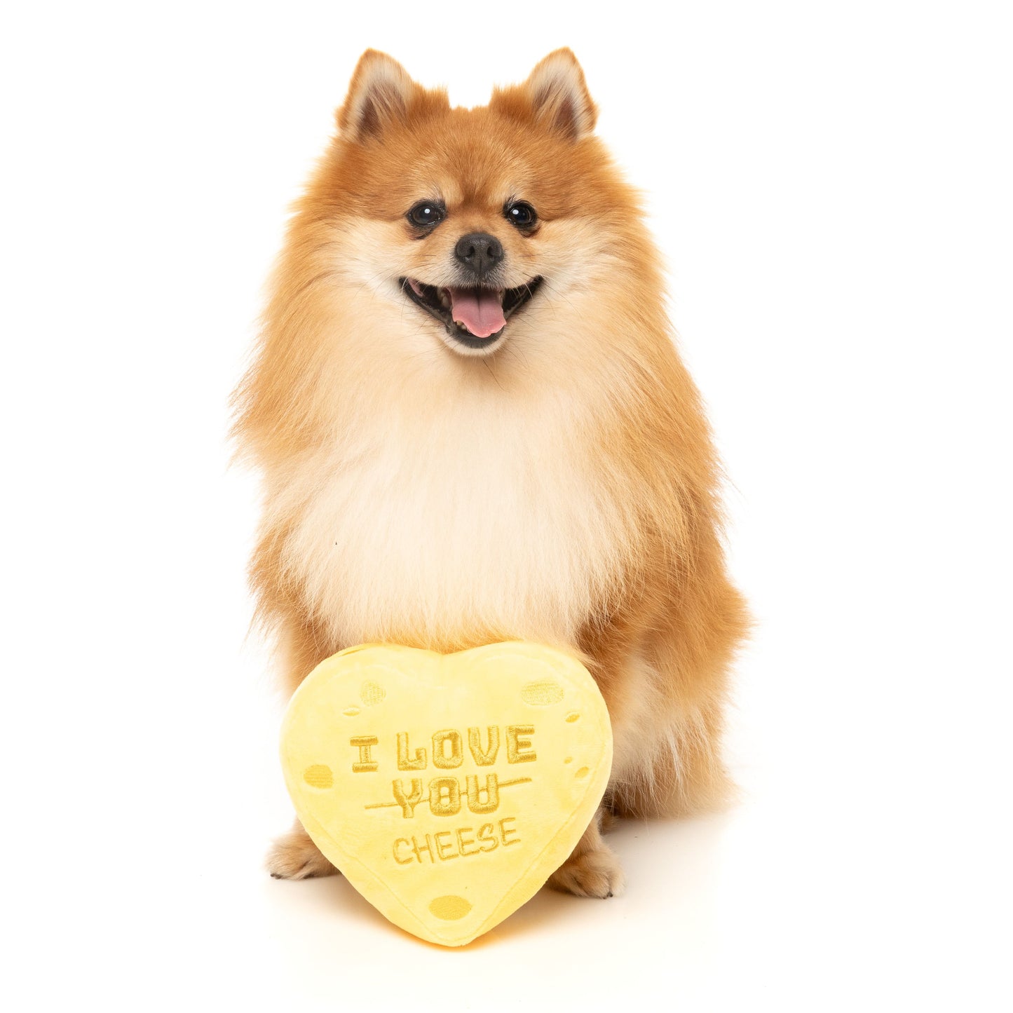 Dog Toy - Valentines Day