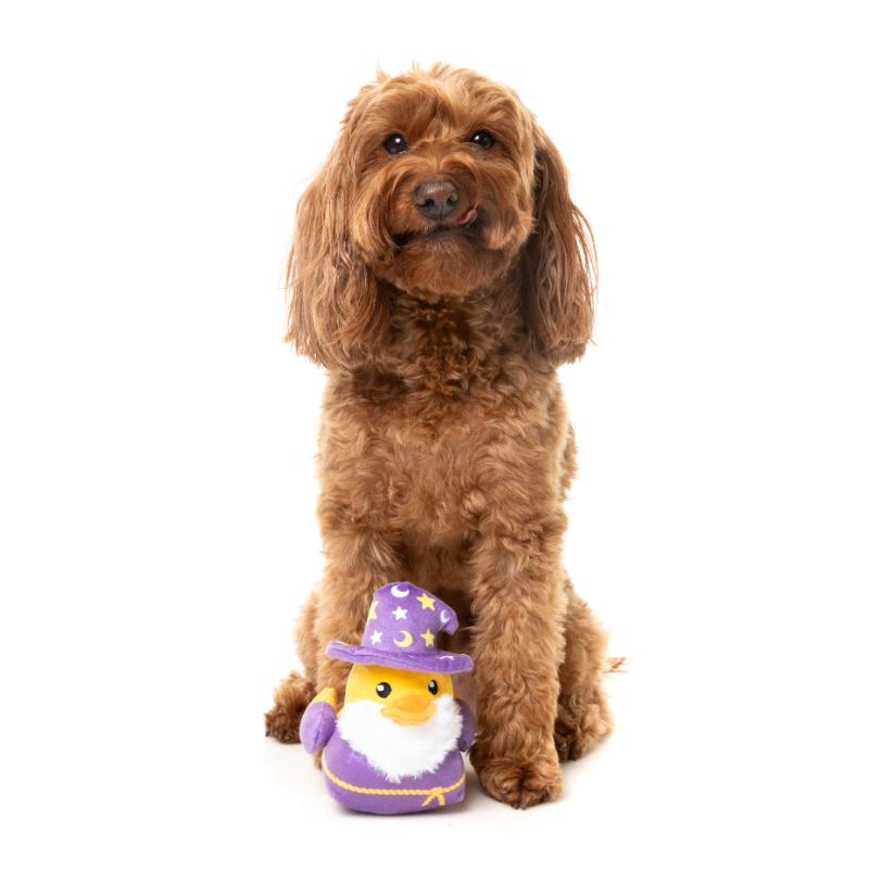 Dog Toy - Waddle Squaddle