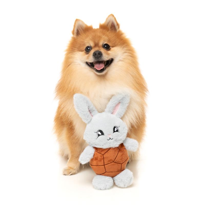 Dog Toy - Choc Belly Bunny