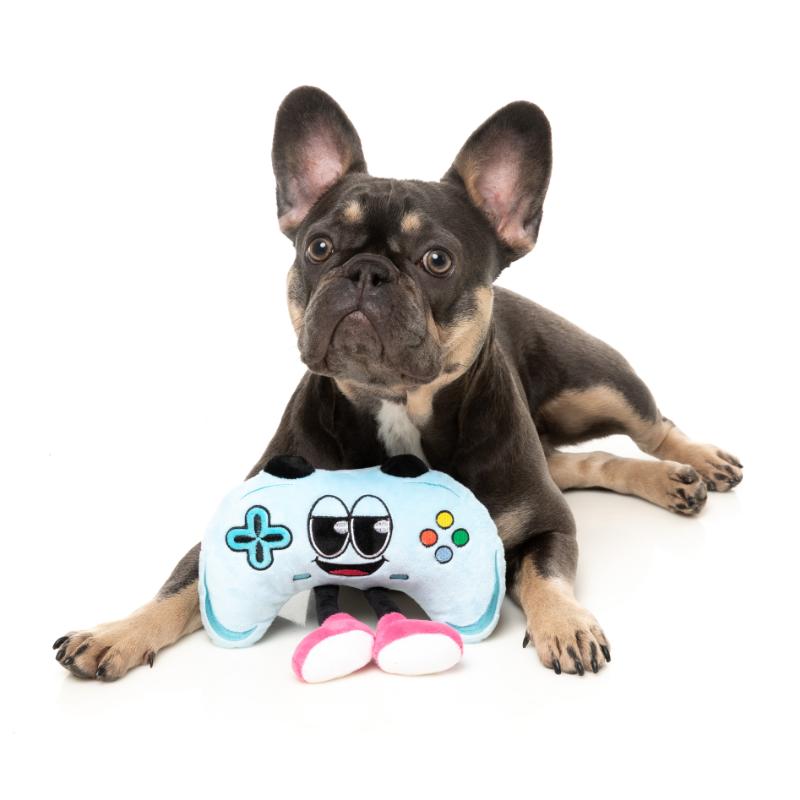 Dog Toy - The Homies