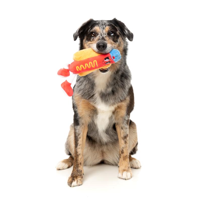 Dog Toy - The Homies