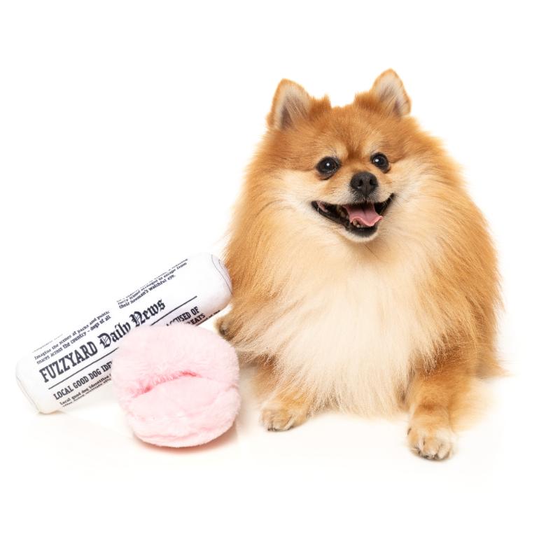 Petit-déjeuner pour chien, lot de 3 - Jouet pour chien 