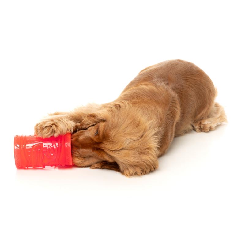 Jouet pour chien - Jouet à mâcher interactif 