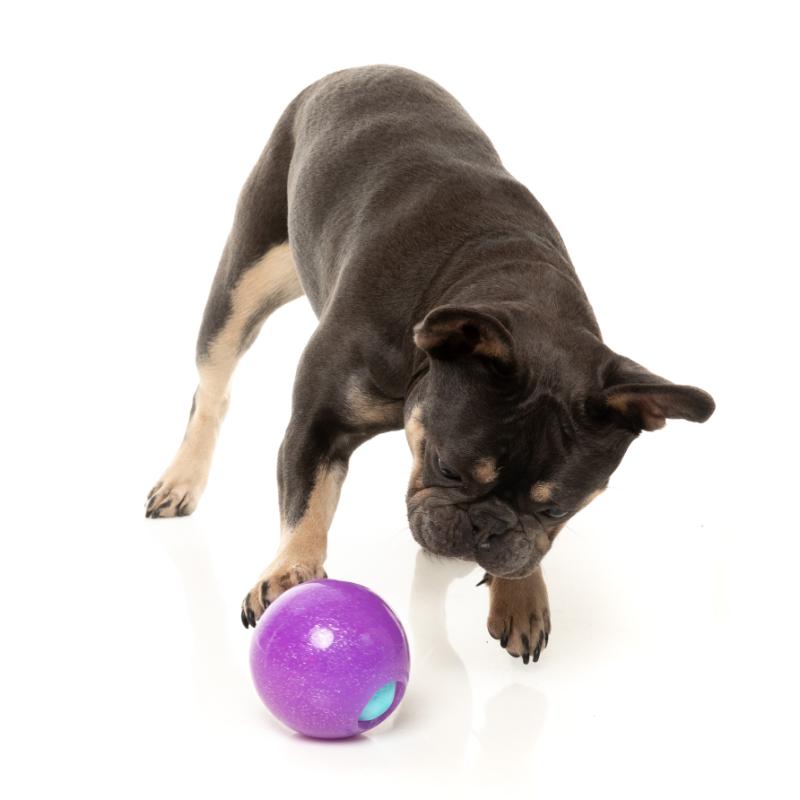 Jouet pour chien - Jouet à mâcher interactif 