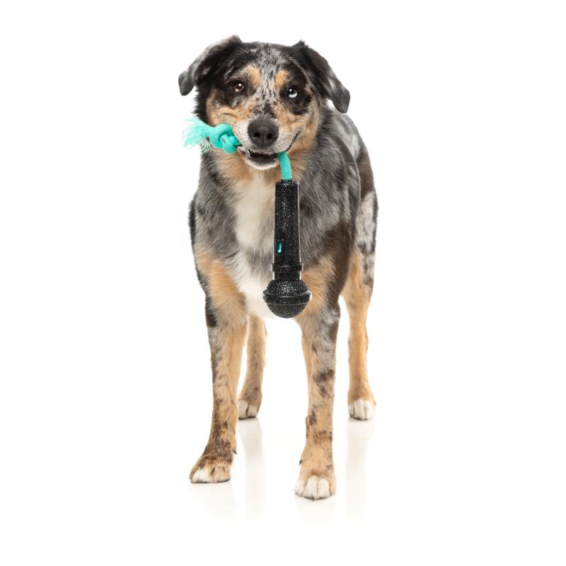 Jouet pour chien - Jouet à mâcher interactif 